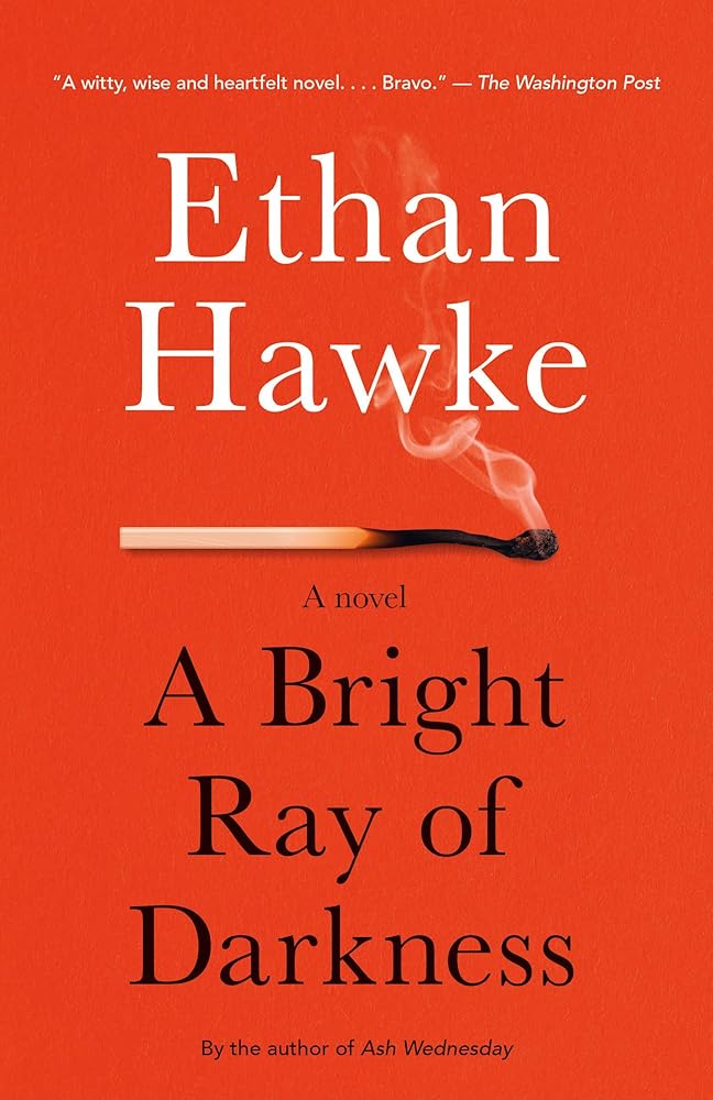 A Bright Ray of Darkness: A novel (Vintage Contemporaries) cover image